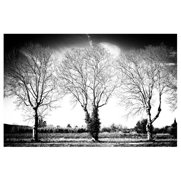 PHOTO84, CLUB, 84 , LUBERON